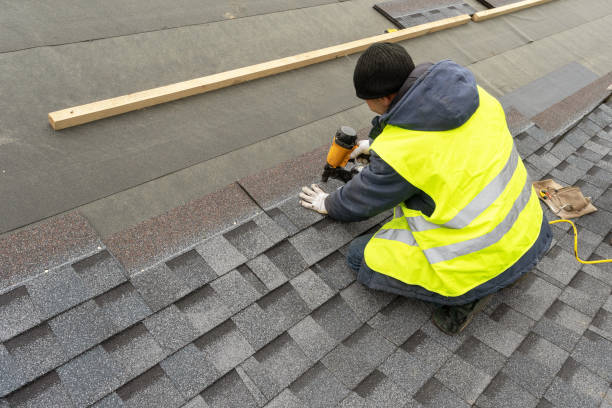 Best Roof Moss and Algae Removal  in Driggs, ID