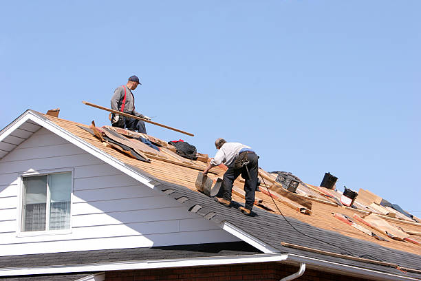 Best Skylight Installation and Repair  in Driggs, ID